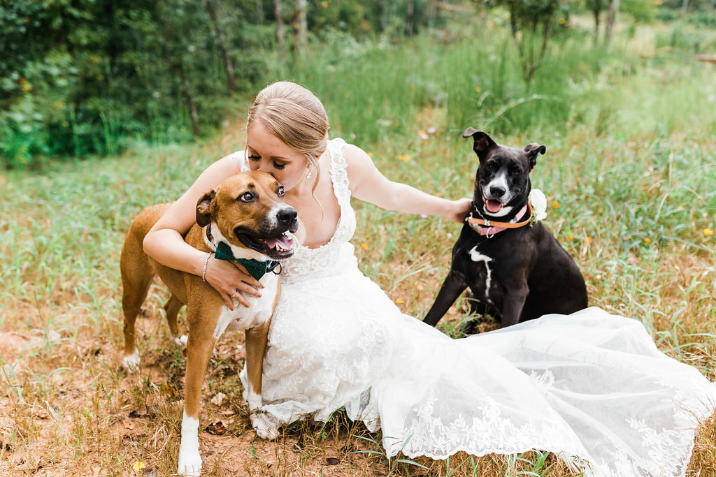 Bridal portraits with dogs in North GA