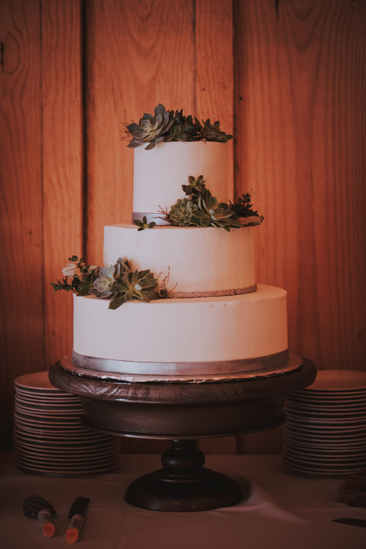 Simple modern cake at Georgia farm wedding
