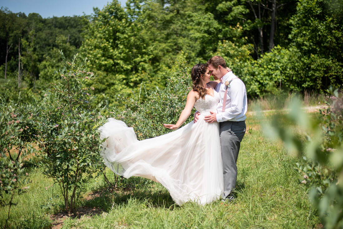 Bride and groom at blueberry fields in Canton wedding venue